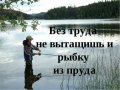 Без труда не выловишь и рыбку из пруда фото