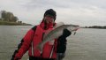 DSC_1805.JPG