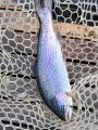 IMG_20200118_134247.jpg