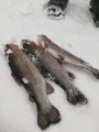 IMG-20200124-WA0023.jpg