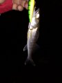 IMG_20200227_194602.jpg