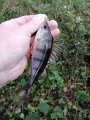IMG_20200920_083947.jpg