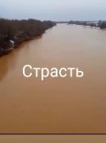 коричневые воды.jpg