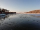 IMG_20201207_093603.jpg