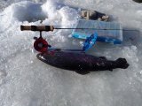 IMG_20210320_090503.jpg