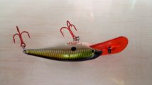 min Rapala Shad Rap 50 спина.jpg