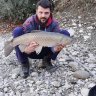 Carpcarp